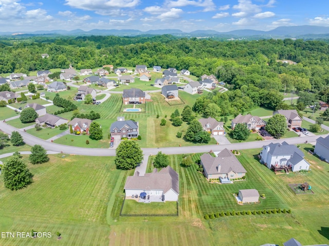 824 Commonwealth Ave, Strawberry Plains, TN 37871 - photo 44