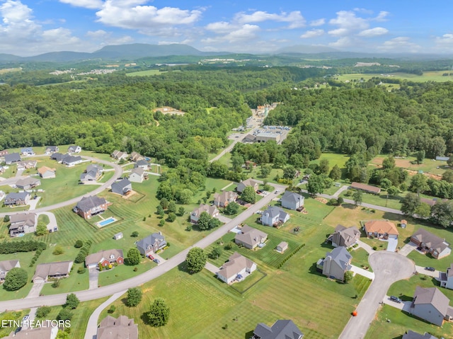 824 Commonwealth Ave, Strawberry Plains, TN 37871 - photo 45