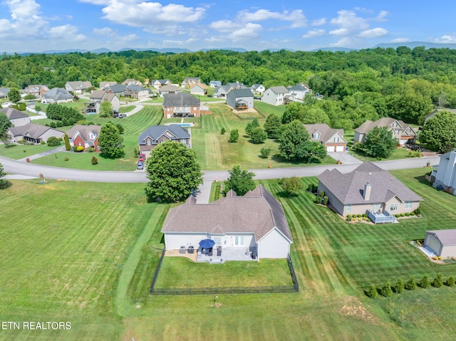 824 Commonwealth Ave, Strawberry Plains, TN 37871 - photo 5