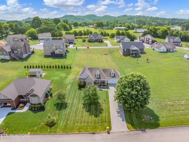 824 Commonwealth Ave, Strawberry Plains, TN 37871 - photo 47