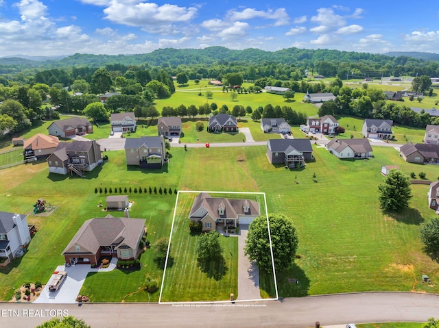 824 Commonwealth Ave, Strawberry Plains, TN 37871 - photo 2