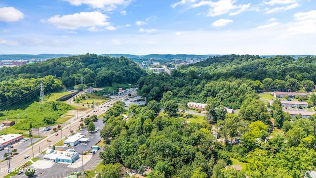 130 Woodlawn Pike, Knoxville, TN 37920 - photo 43