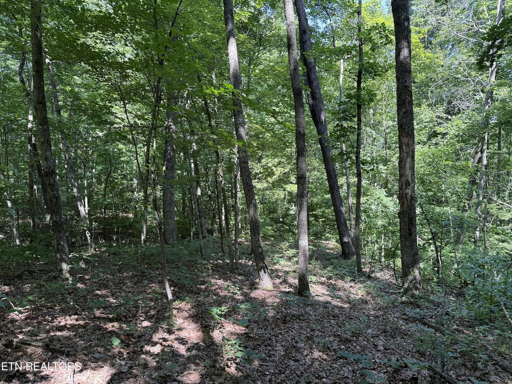 LOT2 E Cove Rd, Monterey, TN 38574