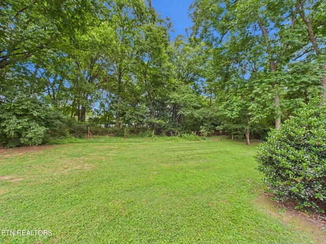 2541 Pendelton Dr, Knoxville, TN 37924 - photo 24