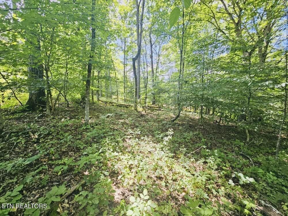 109 Odali Ln, Loudon, TN 37774 - photo 1
