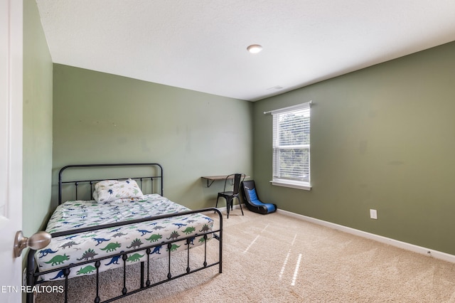 202 Venard Way, Maryville, TN 37804 - photo 20