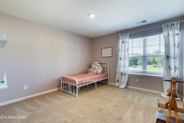 202 Venard Way, Maryville, TN 37804 - photo 21