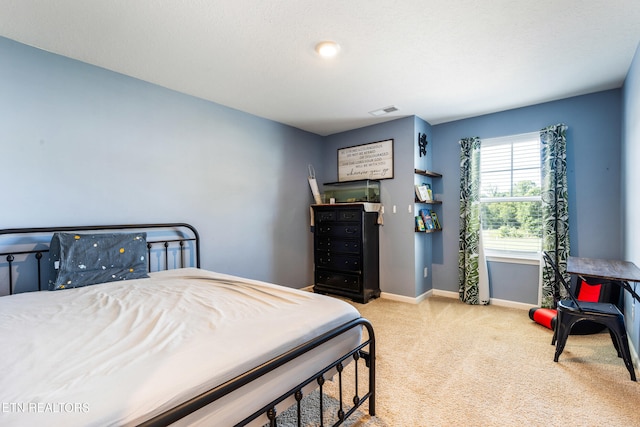 202 Venard Way, Maryville, TN 37804 - photo 22