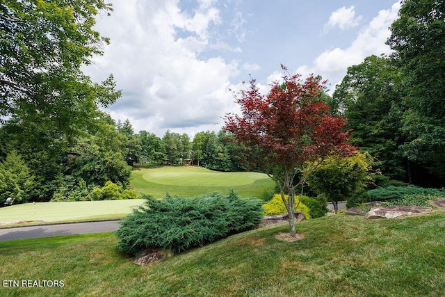 144 Leyden Dr, Crossville, TN 38558 - photo 41