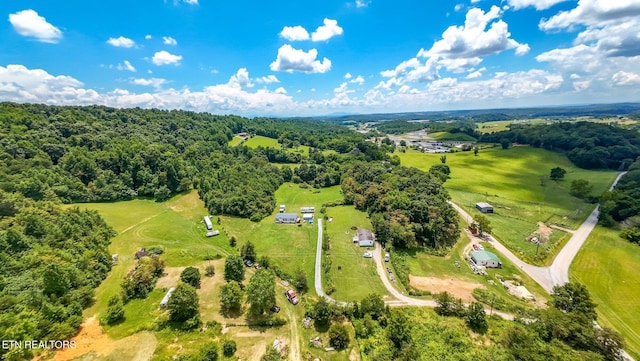 1065 Old Knoxville Hwy, Greeneville, TN 37743 - photo 22