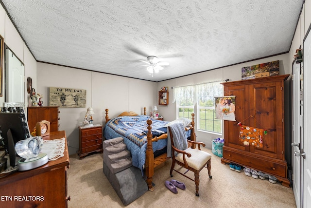 1065 Old Knoxville Hwy, Greeneville, TN 37743 - photo 14
