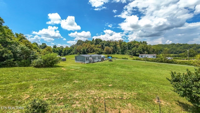 1065 Old Knoxville Hwy, Greeneville, TN 37743 - photo 5
