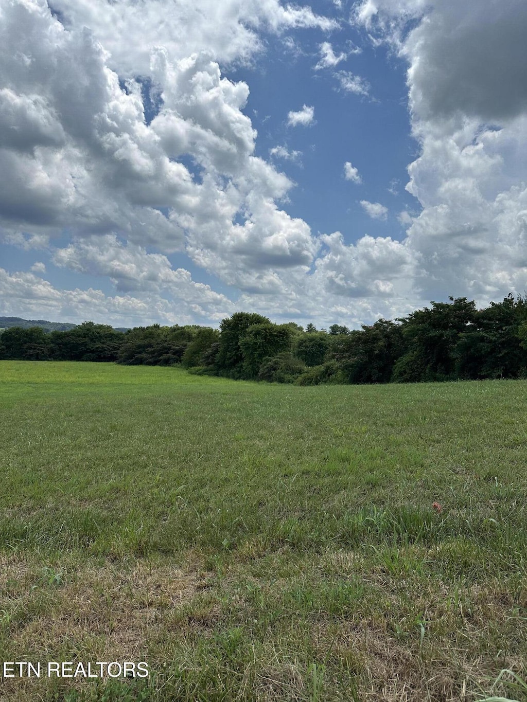 Sparrow Ln, Speedwell, TN 37870