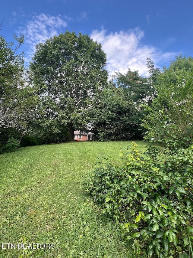 154 Stonehenge St, Harrogate, TN 37752 - photo 38