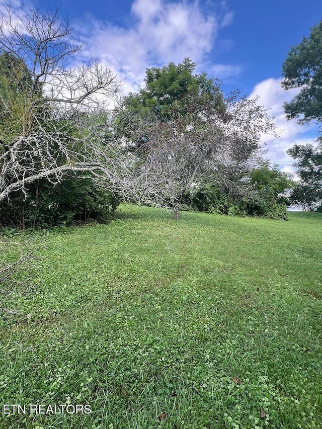 154 Stonehenge St, Harrogate, TN 37752 - photo 39