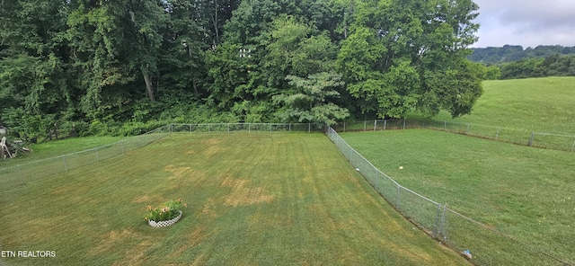 6027 Wilkerson Rd, Knoxville, TN 37912 - photo 22