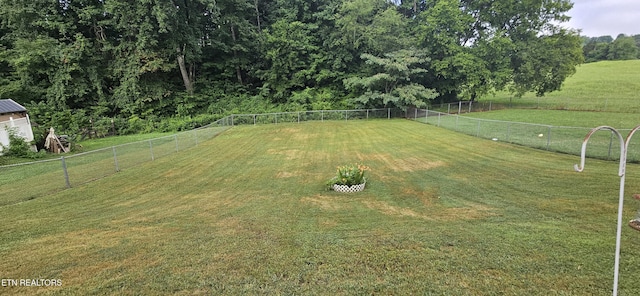 6027 Wilkerson Rd, Knoxville, TN 37912 - photo 19