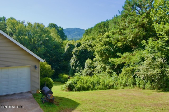 2308 Six Mile Rd, Maryville, TN 37803 - photo 43