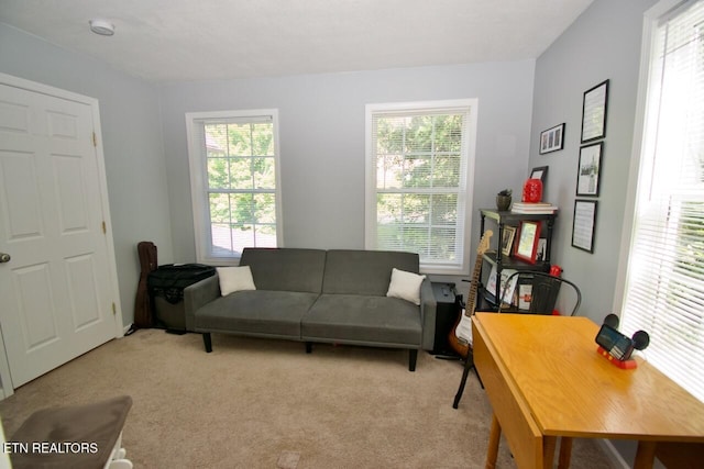 2308 Six Mile Rd, Maryville, TN 37803 - photo 33