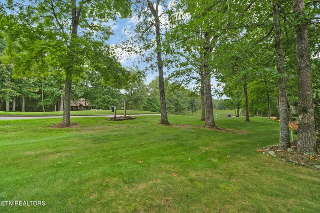 44 Walden Ridge Ter, Crossville, TN 38558 - photo 40