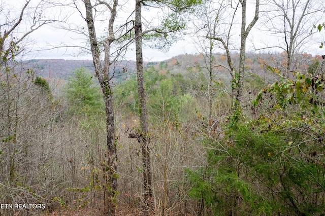 1855 Catoosa Rd, Wartburg, TN 37887 - view of wooded area