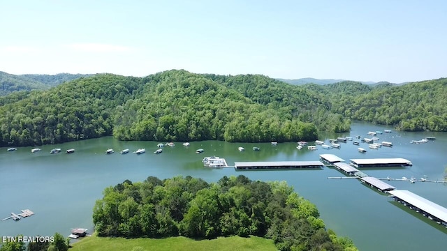 150 Lakeview Cir, Sharps Chapel, TN 37866 - photo 5