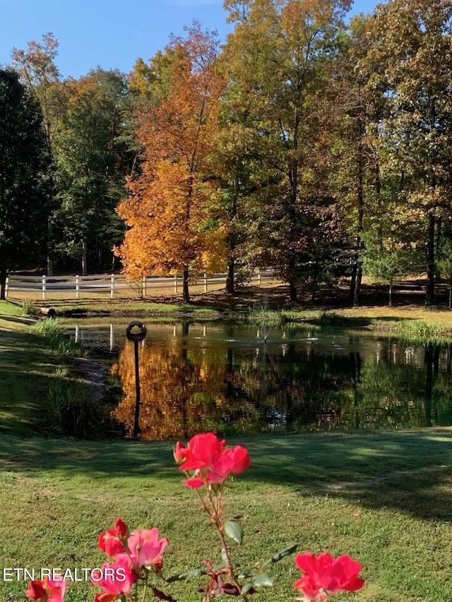 16 Basses Creek Ln, Crossville, TN 38572 - photo 45
