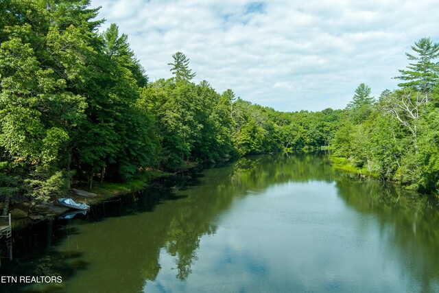 16 Basses Creek Ln, Crossville, TN 38572 - photo 57