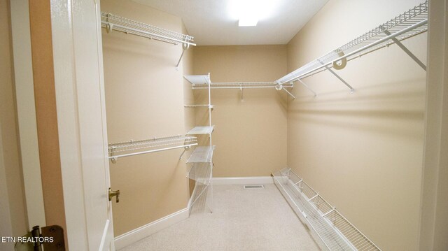 185 Florence Cir, Dandridge, TN 37725 - spacious closet featuring carpet