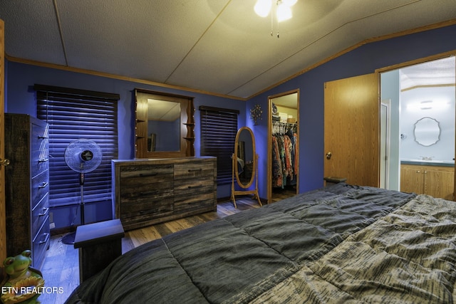 1872 Mitchell Farm Rd, Sevierville, TN 37876 - bedroom with lofted ceiling, wood finished floors, a spacious closet, and connected bathroom