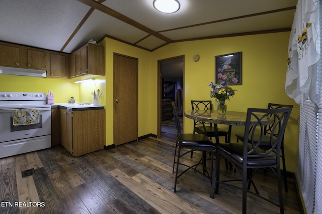 1872 Mitchell Farm Rd, Sevierville, TN 37876 - kitchen with white range with electric stovetop, under cabinet range hood, vaulted ceiling, dark wood-style flooring, and brown cabinets