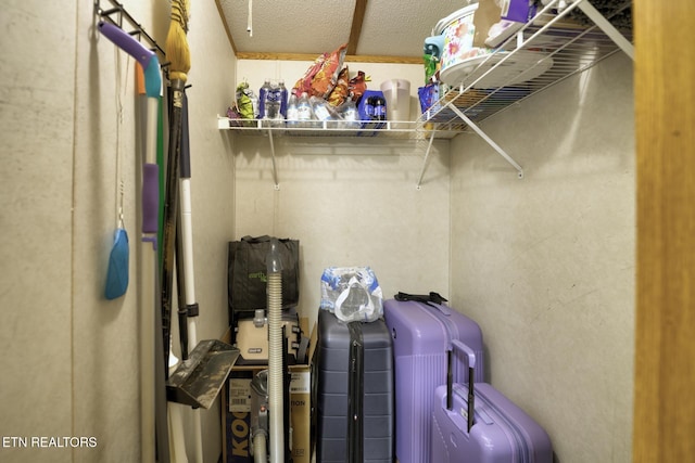 1872 Mitchell Farm Rd, Sevierville, TN 37876 - view of storage area