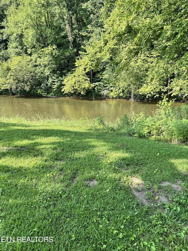 River Bank Rd, Pigeon Forge, TN 37863 - photo 2