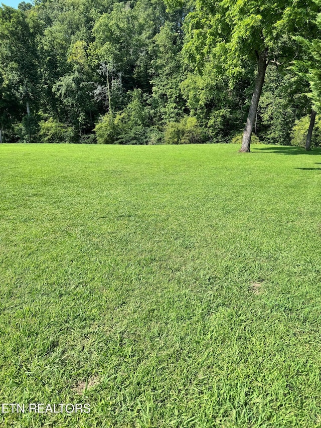 River Bank Rd, Pigeon Forge, TN 37863 - photo 1