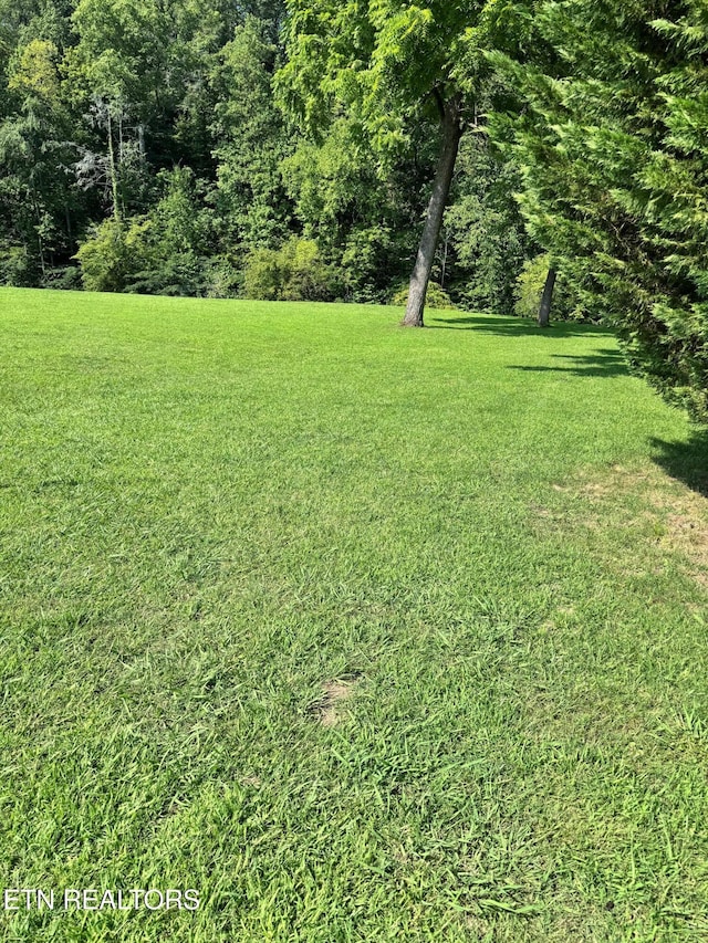 River Bank Rd, Pigeon Forge, TN 37863 - photo 3