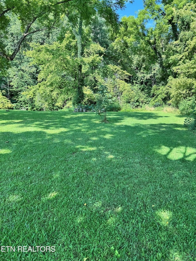 River Bank Rd, Pigeon Forge, TN 37863 - photo 4