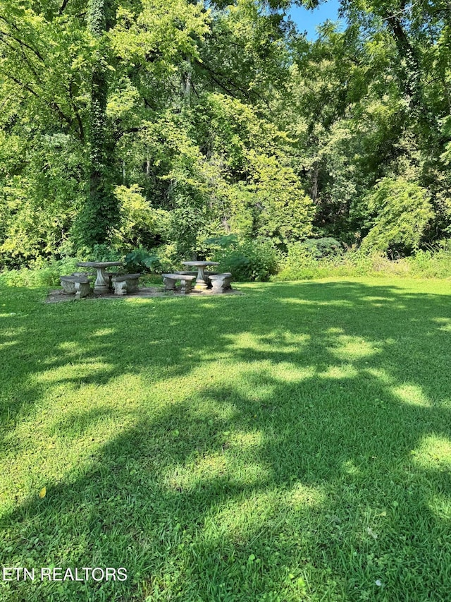 River Bank Rd, Pigeon Forge, TN 37863 - photo 5
