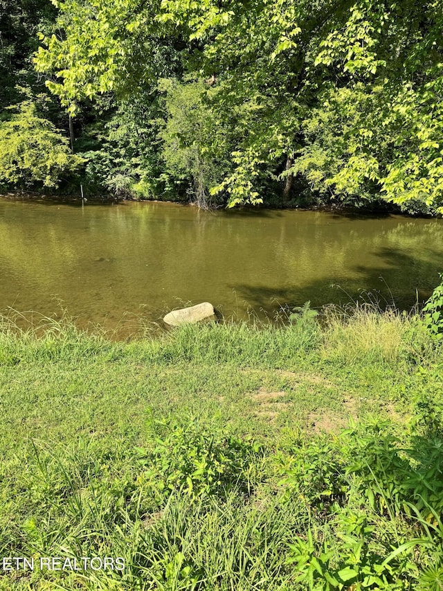 River Bank Rd, Pigeon Forge, TN 37863 - photo 10