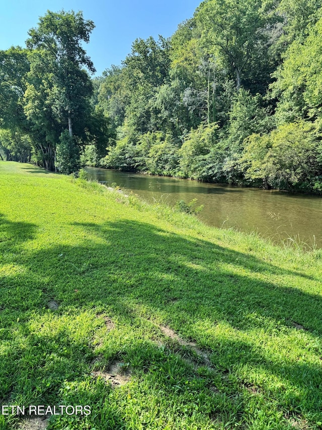 River Bank Rd, Pigeon Forge, TN 37863 - photo 8