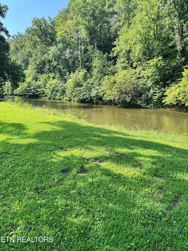 River Bank Rd, Pigeon Forge, TN 37863 - photo 6