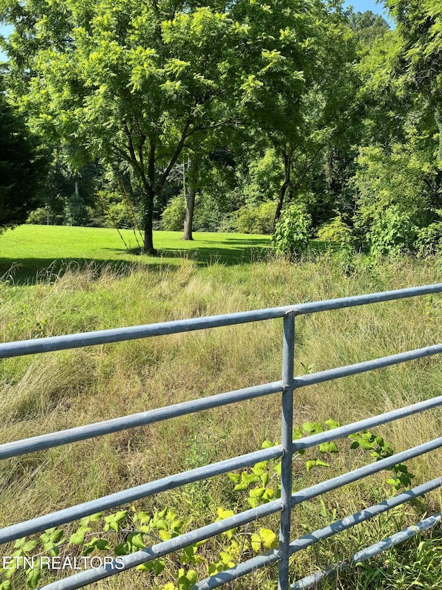 River Bank Rd, Pigeon Forge, TN 37863 - photo 11