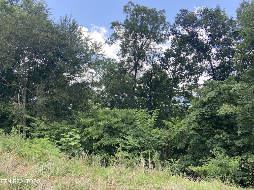 Whistle Valley Rd, New Tazewell, TN 37825