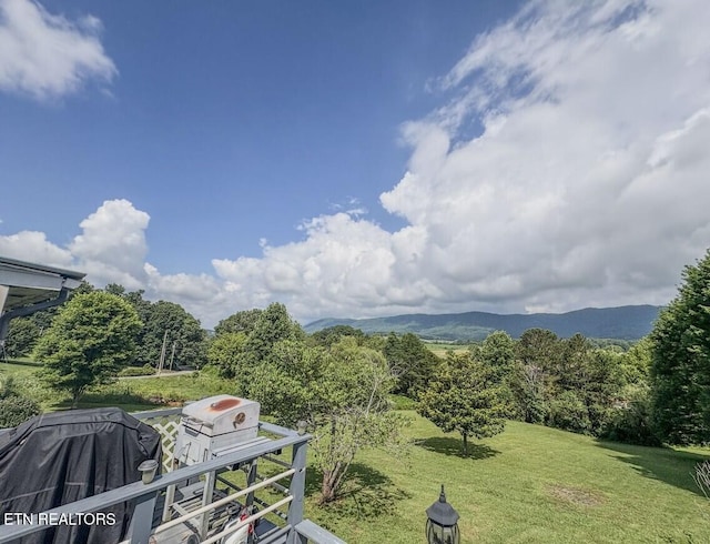 111 Fred Russell Ln, Speedwell, TN 37870 - photo 17