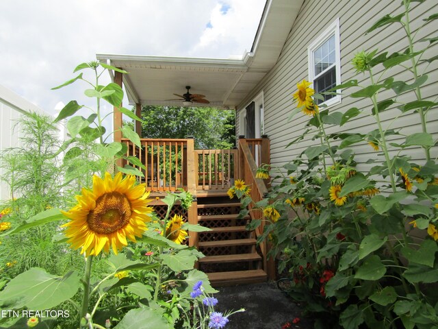 327 Coleman St, Harrogate, TN 37752 - photo 5