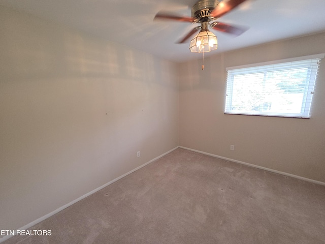 205 Brandon Rd, Knoxville, TN 37922 - photo 10