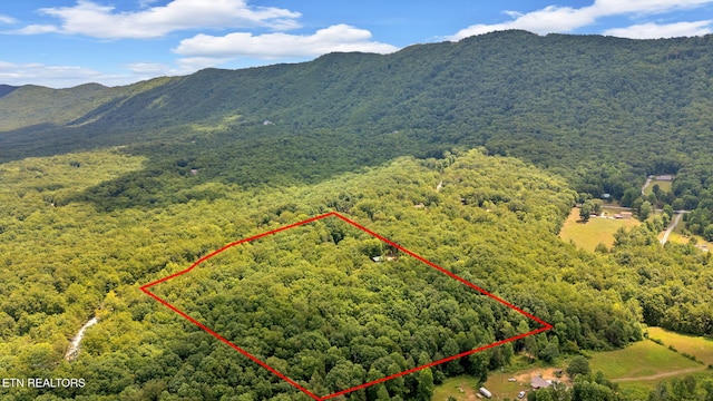 3661 Chilhowee Trl, Maryville, TN 37803 - photo 60