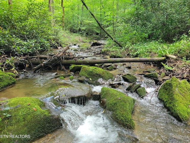 861 Windy Hill Way, Cosby, TN 37722 - view of undeveloped land