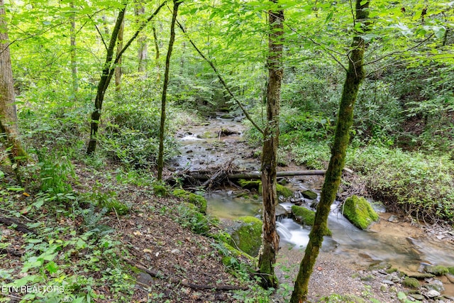861 Windy Hill Way, Cosby, TN 37722 - view of undeveloped land