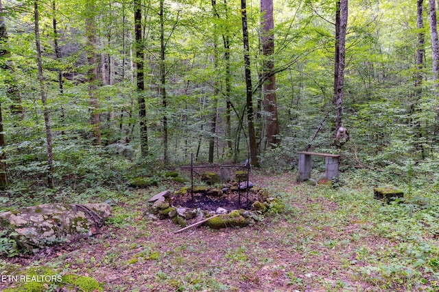 861 Windy Hill Way, Cosby, TN 37722 - view of yard featuring a forest view