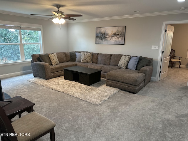 2310 Argonne Dr, Maryville, TN 37804 - photo 33